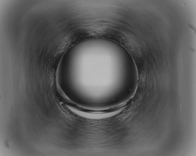 X0000097891012200803141328