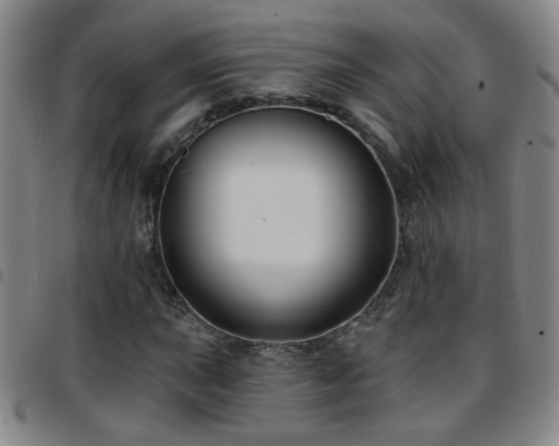 X0000097891015200803141328