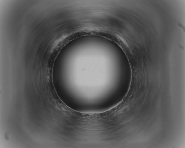 X0000097891016200803141328