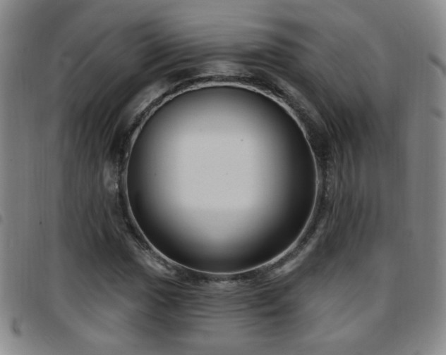 X0000097891017200803141328