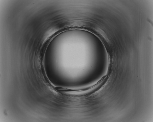 X0000097891018200803141328