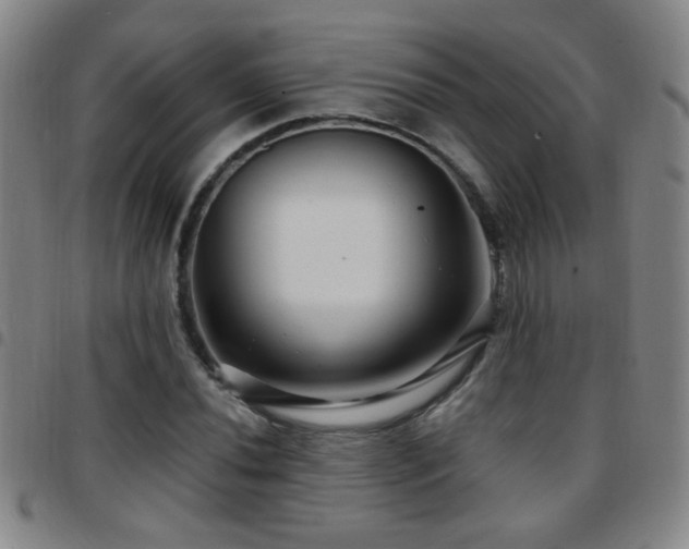 X0000097891020200803141328