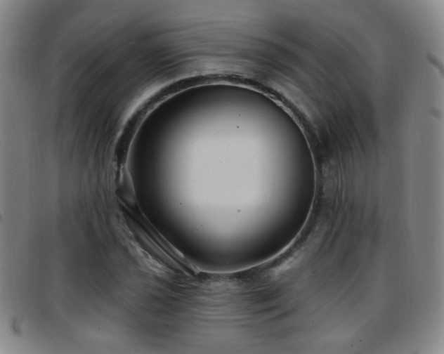 X0000097891021200803141328