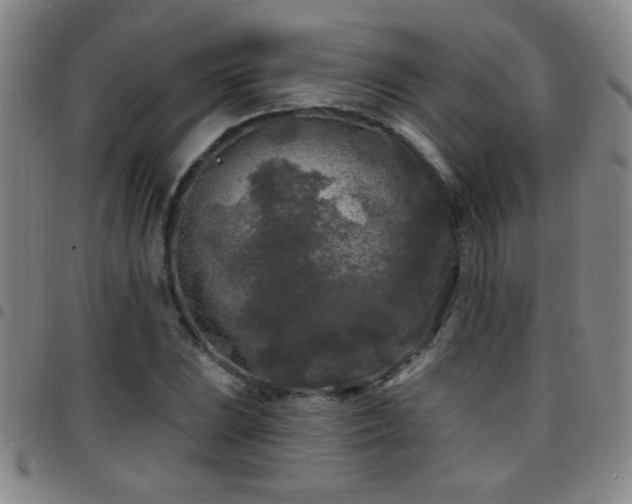 X0000097891023200803141328