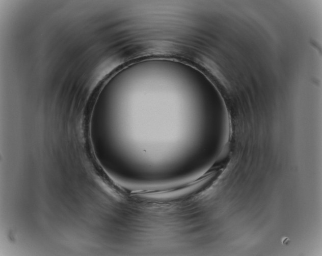 X0000097891026200803141328