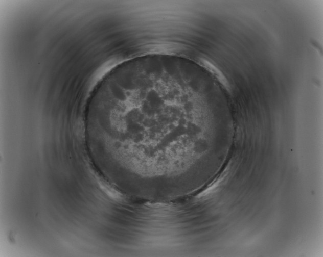 X0000097891027200803141328