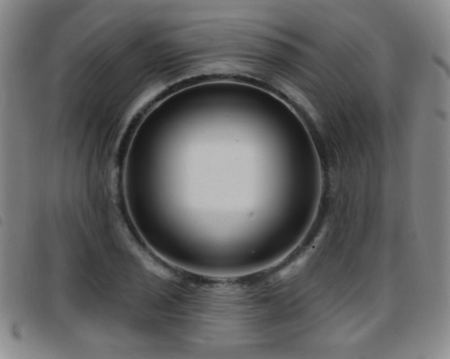 X0000097891029200803141328