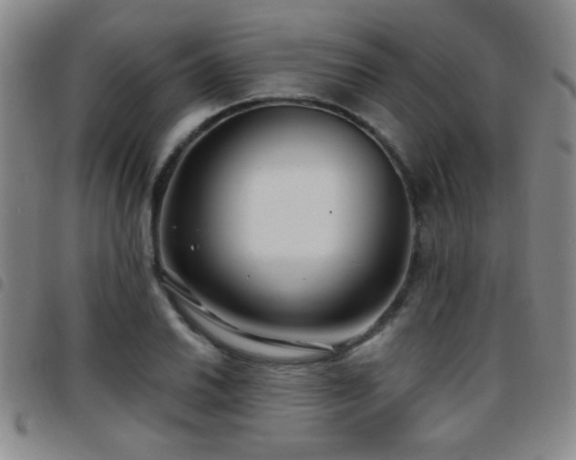 X0000097891030200803141328