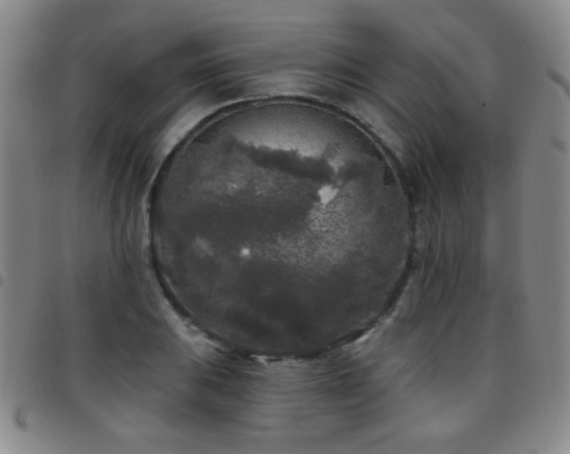 X0000097891031200803141328