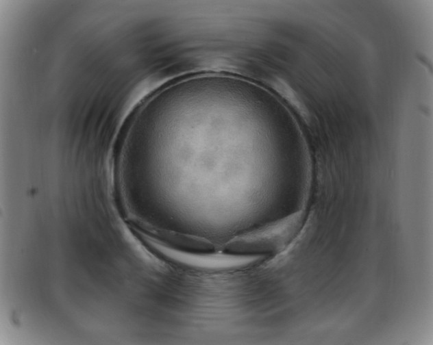 X0000097891032200803141328