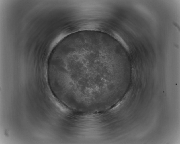 X0000097891035200803141328