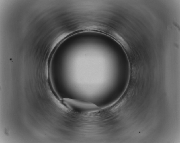 X0000097891036200803141328