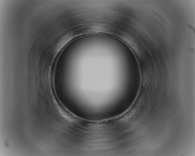 X0000097891039200803141328