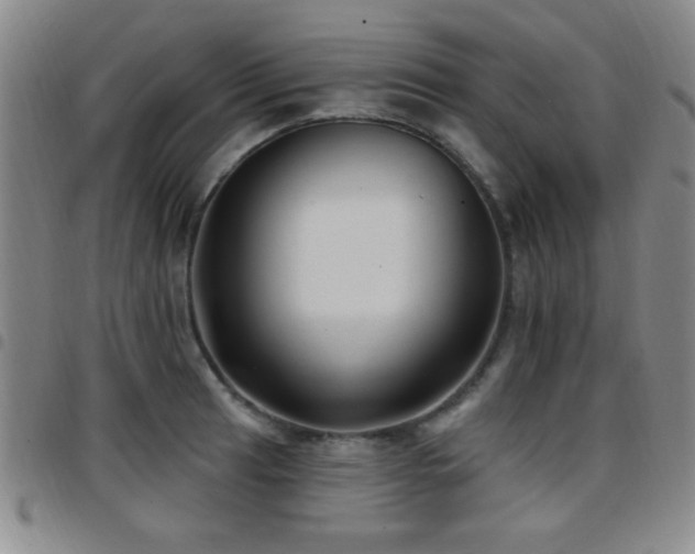 X0000097891041200803141328