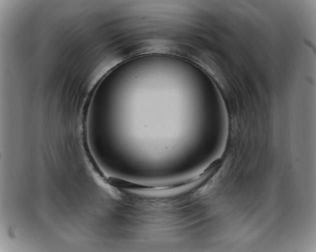 X0000097891042200803141328