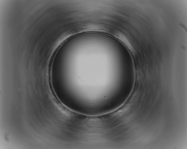 X0000097891043200803141328