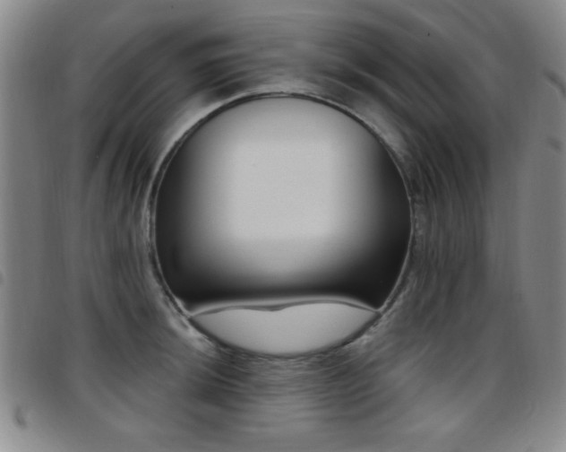 X0000097891044200803141328