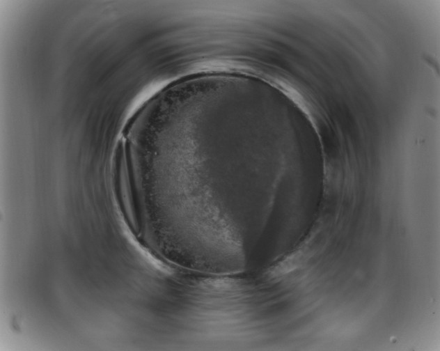 X0000097891045200803141328
