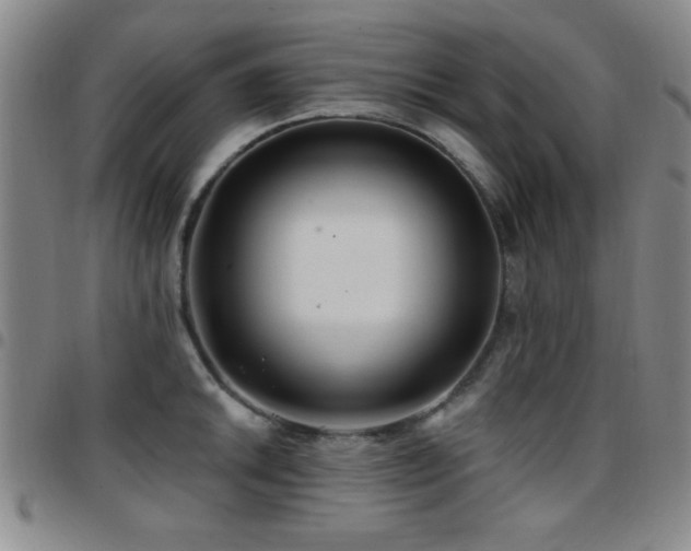 X0000097891046200803141328