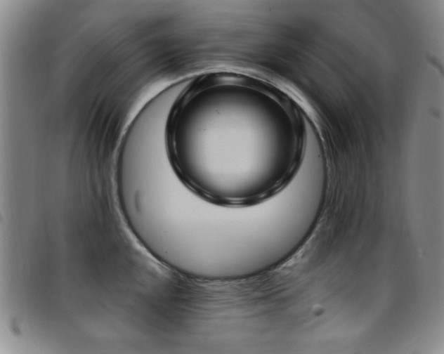 X0000097891048200803141328