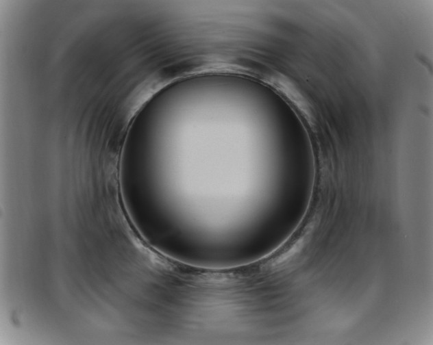 X0000097891049200803141328
