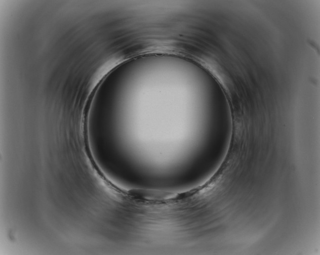 X0000097891050200803141328