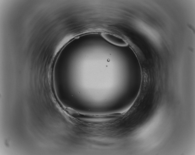X0000097891054200803141328