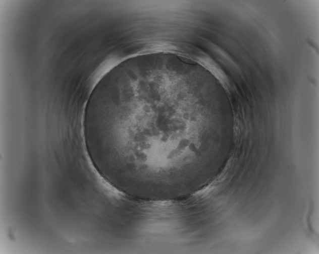 X0000097891055200803141328