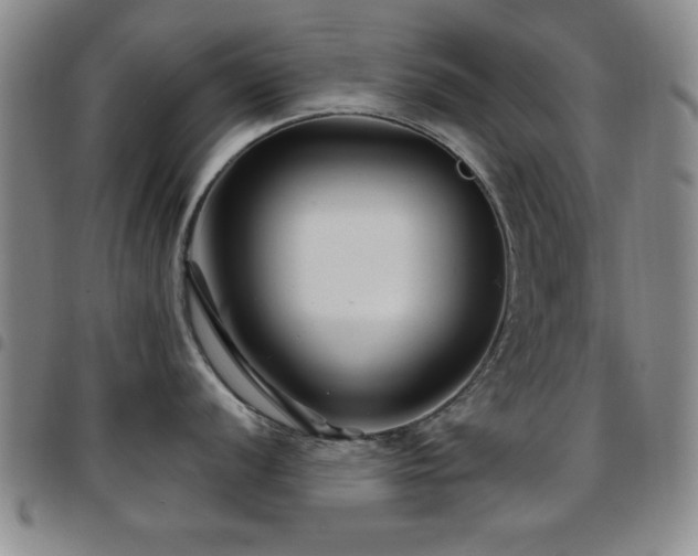 X0000097891056200803141328