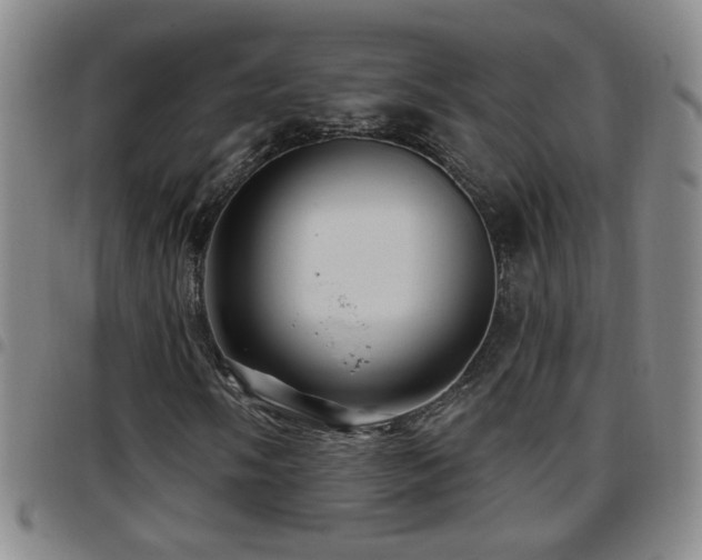 X0000097891058200803141328