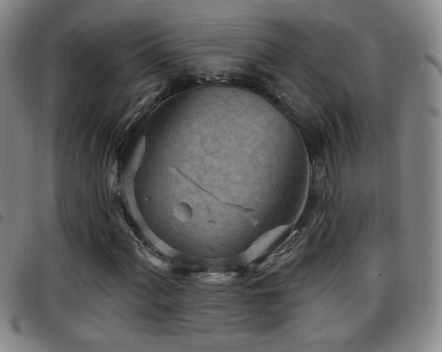 X0000097891060200803141328
