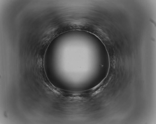 X0000097891061200803141328