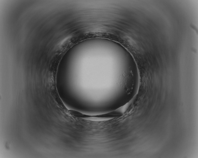 X0000097891062200803141328