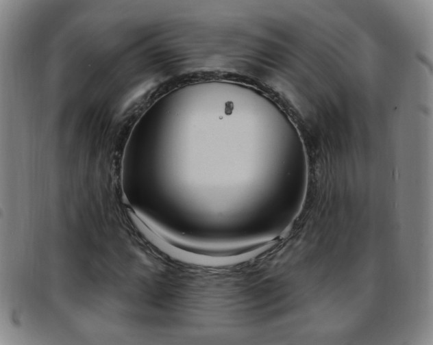 X0000097891064200803141328