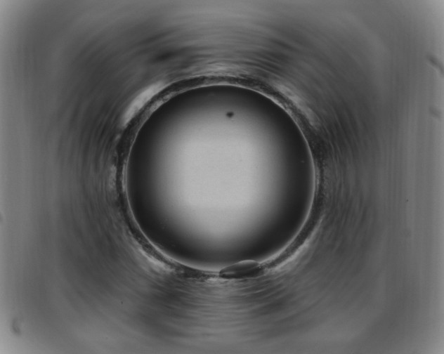 X0000097891066200803141328
