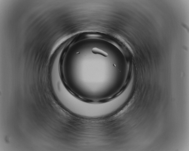 X0000097891069200803141328