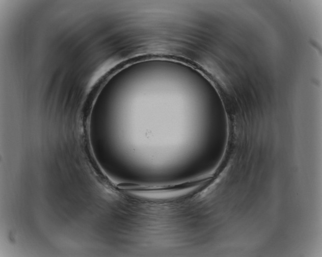 X0000097891070200803141328