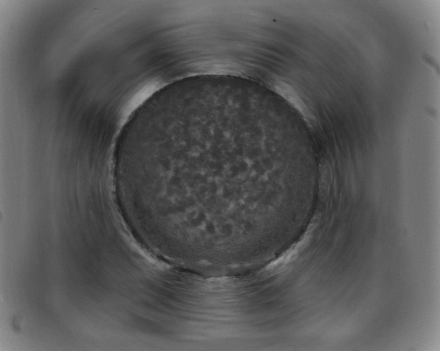 X0000097891071200803141328