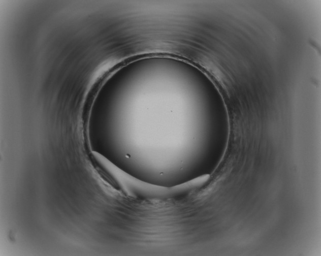 X0000097891072200803141328