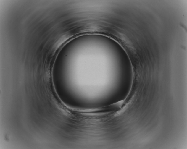 X0000097891073200803141328