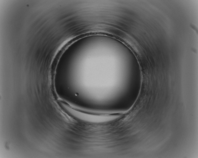 X0000097891076200803141327