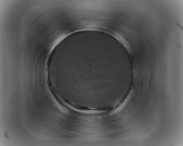 X0000097891077200803141327