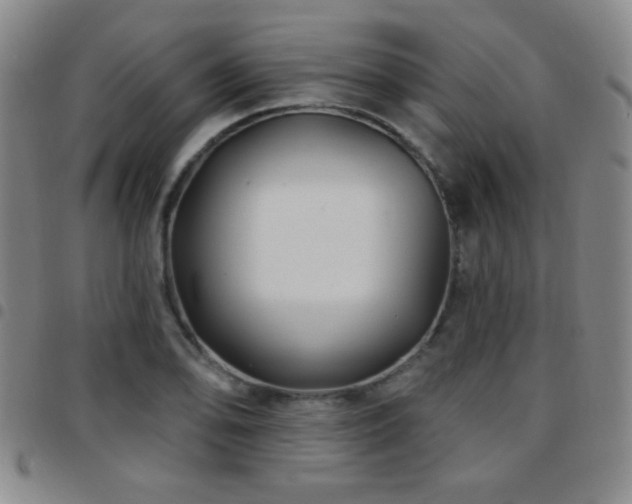 X0000097891078200803141327