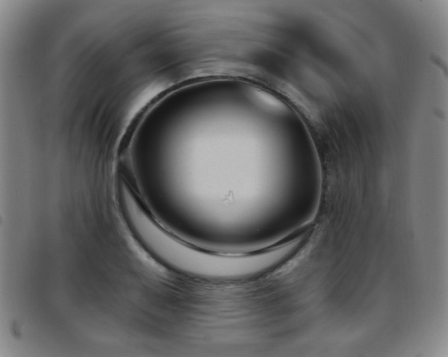 X0000097891079200803141327