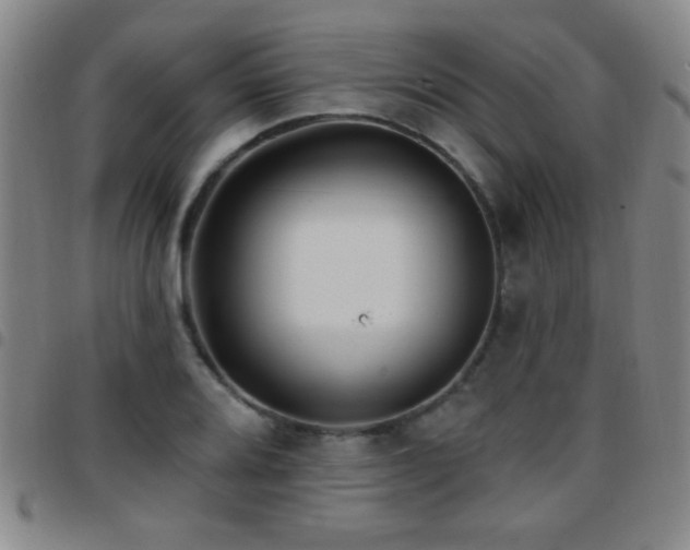 X0000097891080200803141327