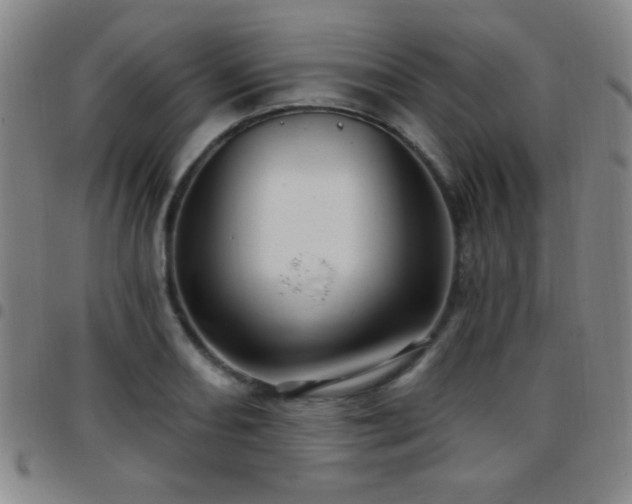X0000097891082200803141327