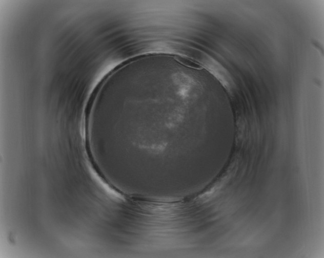 X0000097891084200803141327