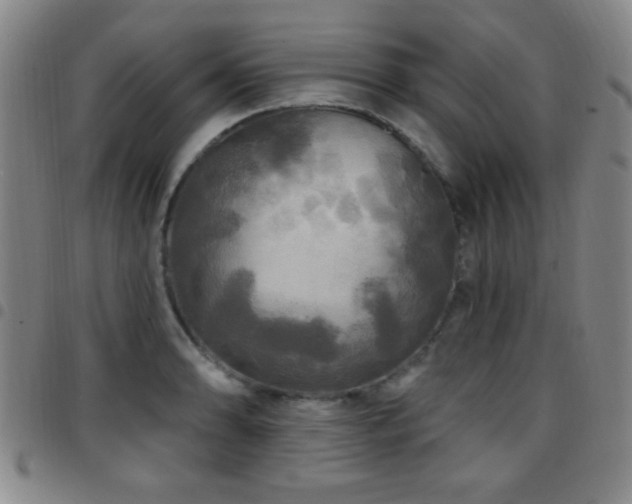 X0000097891086200803141327