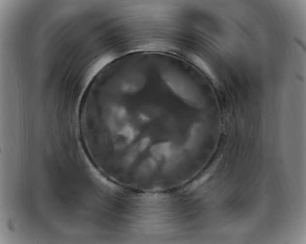 X0000097891087200803141327