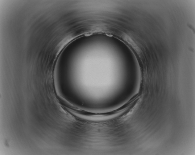 X0000097891089200803141327